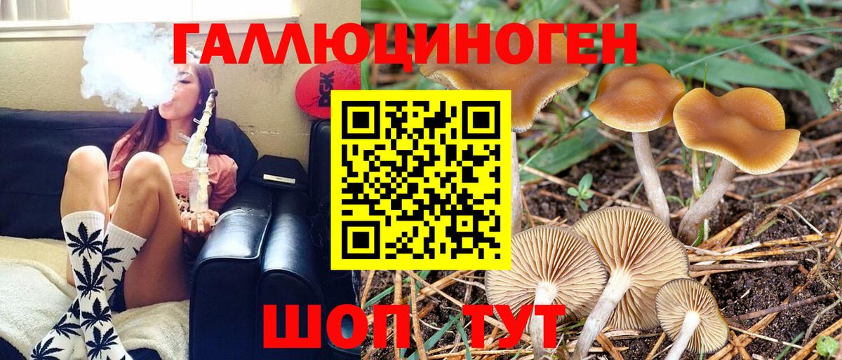 Галлюциногенные грибы MAGIC MUSHROOMS  Псилоцибиновые грибы Psilocybine cubensis  Ипатово  Вход с VPN 